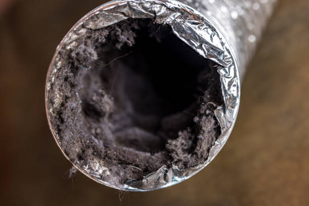Best Air Duct Sanitizing Services  in Covington, OH